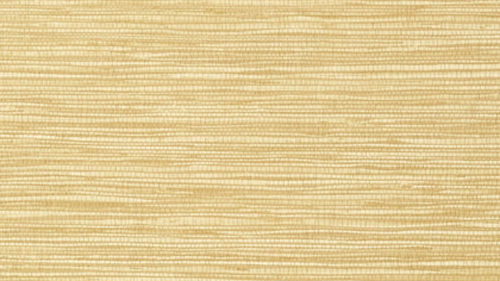 JINDO GRASS T75115